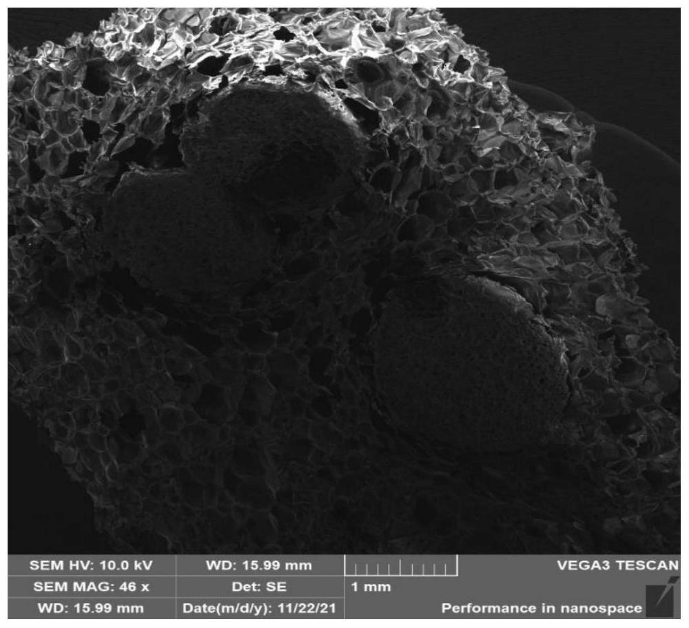 一種改性可發(fā)性聚苯乙烯顆粒、制備方法及其應(yīng)用