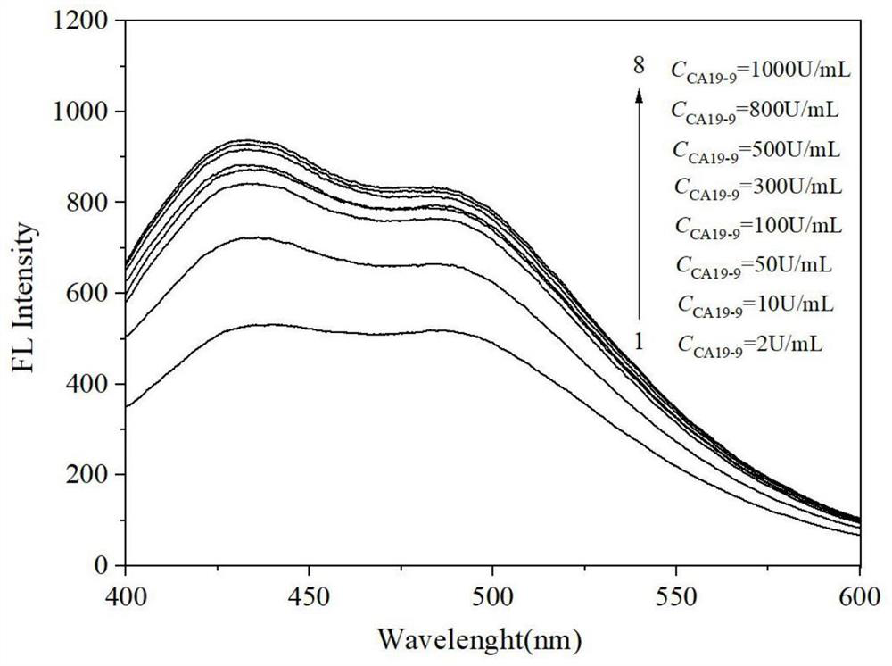 磁分離熒光增強(qiáng)型適配體傳感器檢測腫瘤標(biāo)志物CA19-9的方法