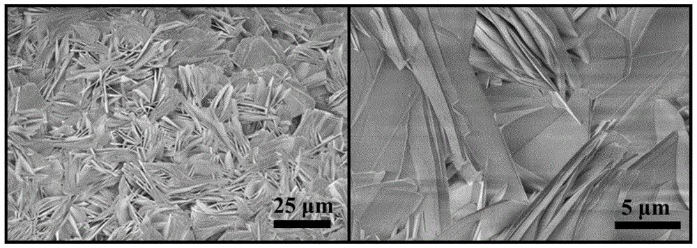 一種二維鎳鈷雙金屬M(fèi)OFs納米片及其在葡萄糖檢測(cè)中應(yīng)用
