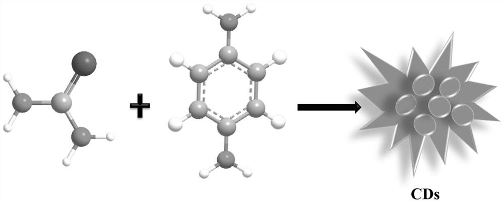 一種熒光碳點及其制備方法與應(yīng)用