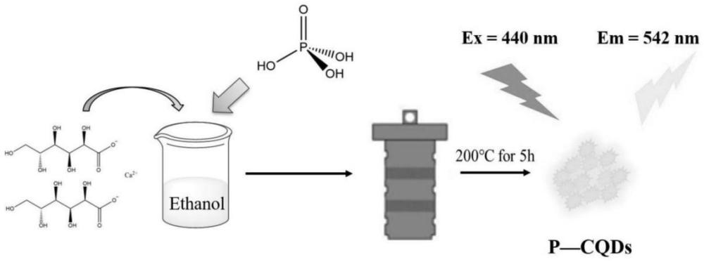 一種以葡萄糖酸鈣為原料制備磷摻雜碳量子點(diǎn)的方法及其在六價(jià)鉻離子檢測(cè)中的應(yīng)用