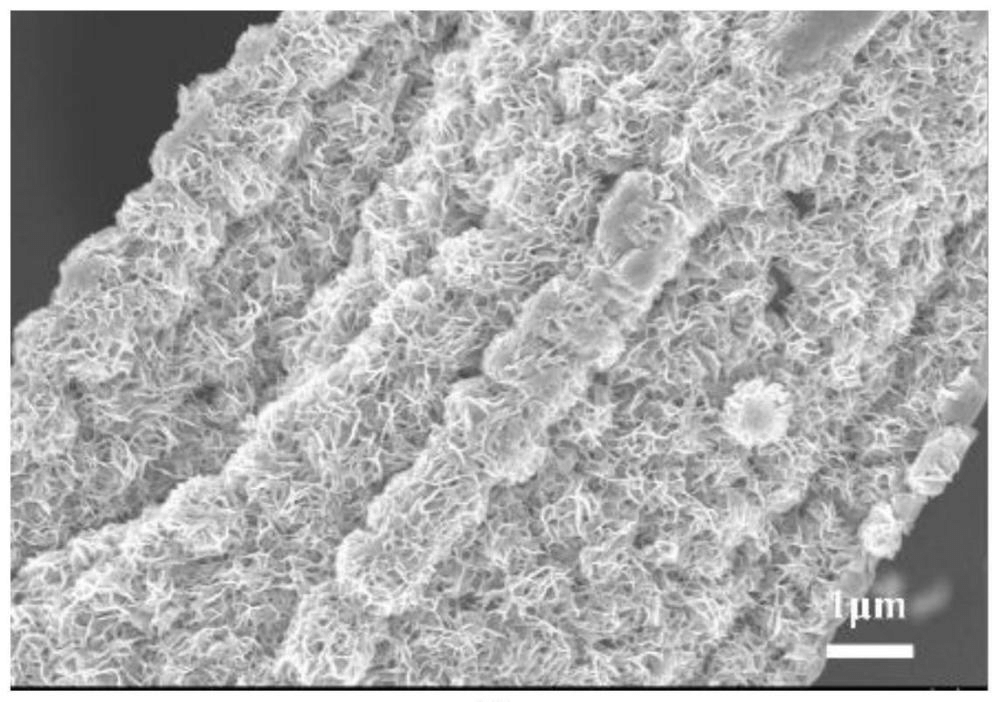 一種兼具優(yōu)異機械性能的碳纖維基太陽能光熱高效轉(zhuǎn)化材料及其制備方法和應(yīng)用
