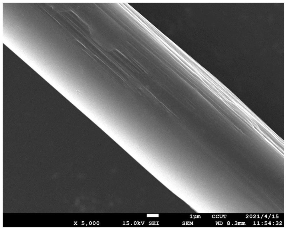 水性環(huán)氧改性柚皮苷、碳纖維上漿劑和上漿碳纖維及制備方法