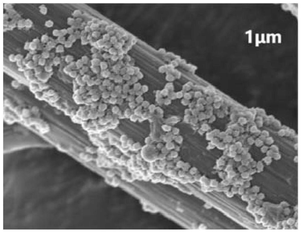 一種氧化石墨烯/聚苯胺中空微球剛?cè)峤Y(jié)構(gòu)改性碳纖維、制備方法及其復(fù)合材料