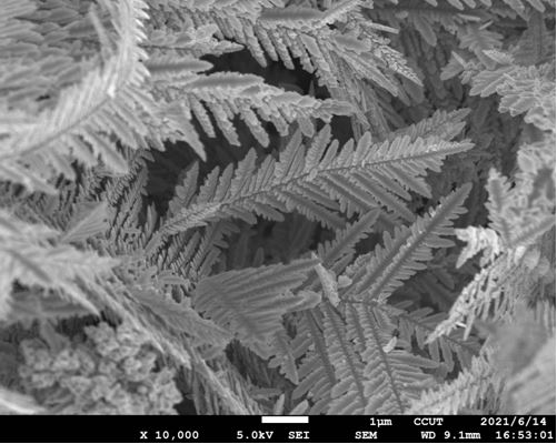 一種可以實現(xiàn)高效光熱轉換的針葉狀鎳黑膜