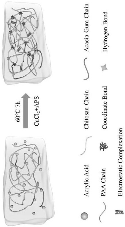 一種高形狀回復(fù)率水凝膠及其制備方法