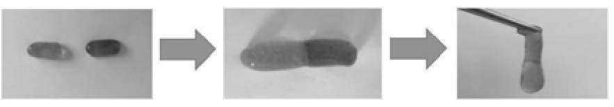 一種PVA海藻酸鈉雙網(wǎng)絡(luò)耐寒導(dǎo)電水凝膠及其制備方法