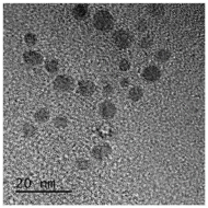 一種正電性的基因載體功能的聚合物熒光碳量子點(diǎn)的制備方法及應(yīng)用